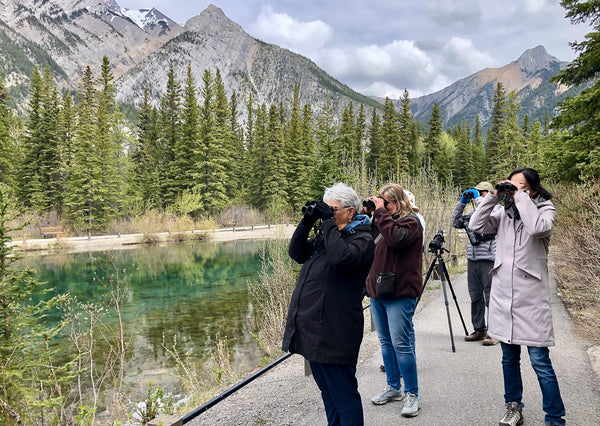 Eagle Eye Tours - Canadian Rockies: Kananaskis & Banff
