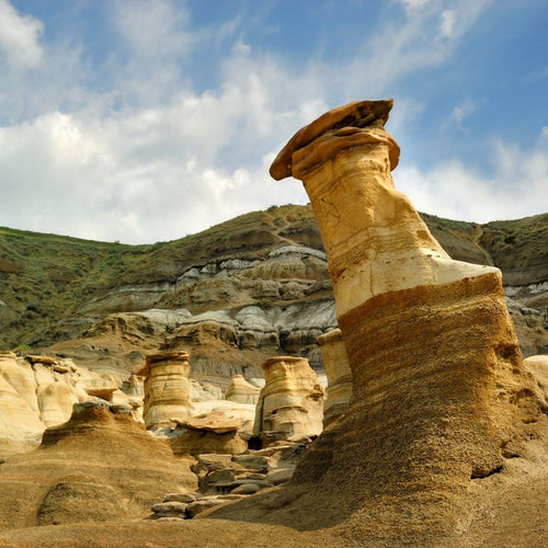 Alberta Birds & Dinosaurs with Canadian Geographic for May 21 - 26, 2023