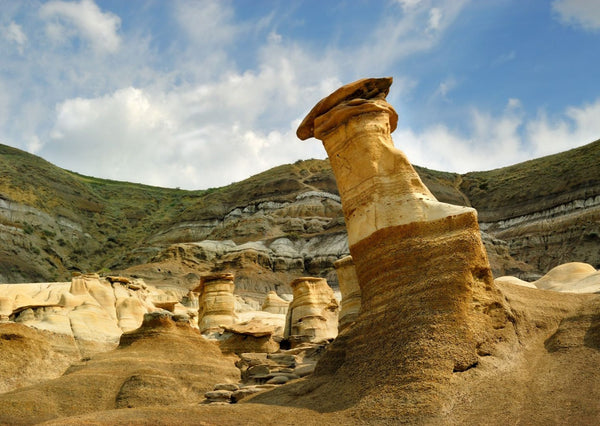 Eagle Eye Tours - Alberta Birds & Dinosaurs with Canadian Geographic
