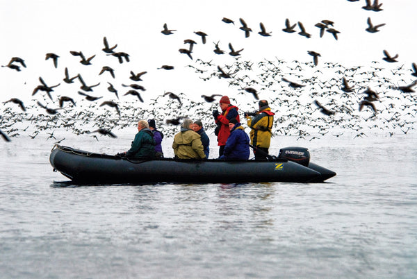 Eagle Eye Tours - Russia Far East: Ring of Fire