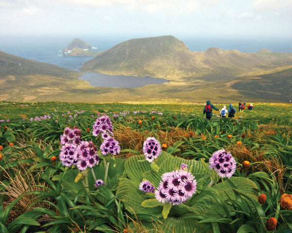 Eagle Eye Tours - Subantarctic Islands Cruise