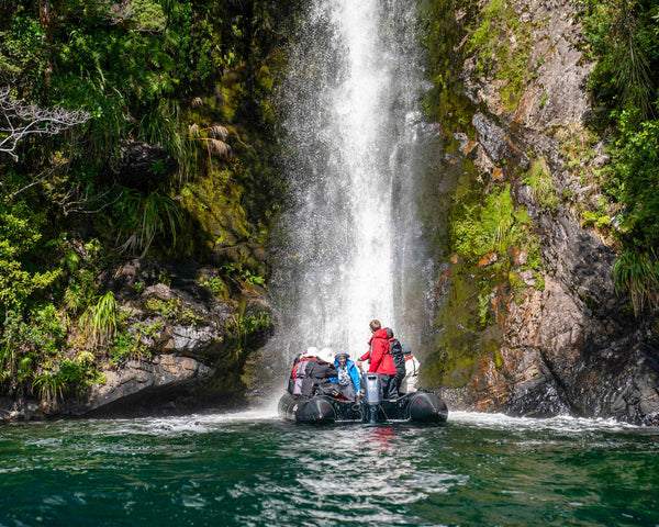 Eagle Eye Tours - New Zealand Coastal Odyssey