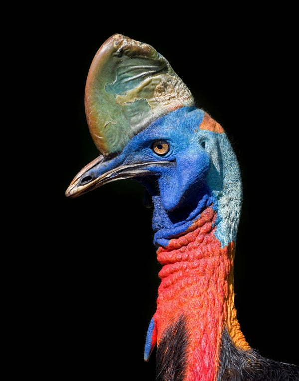 Eagle Eye Tours - Eastern Australia Tour