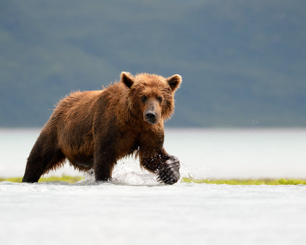 Eagle Eye Tours - Southeast Alaska Sailing