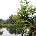 Japan's National Parks, Arts & Culture Cruise for May 31, 2026 to Jun 15, 2026