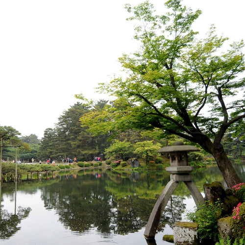 Japan's National Parks, Arts & Culture Cruise for May 31, 2026 to Jun 15, 2026 / Main Triple