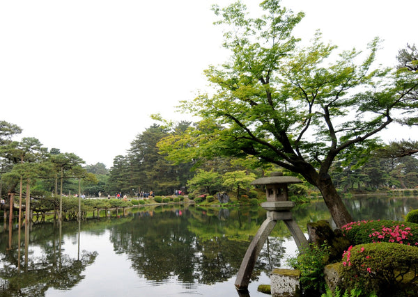 Eagle Eye Tours - Japan's National Parks, Arts & Culture Cruise
