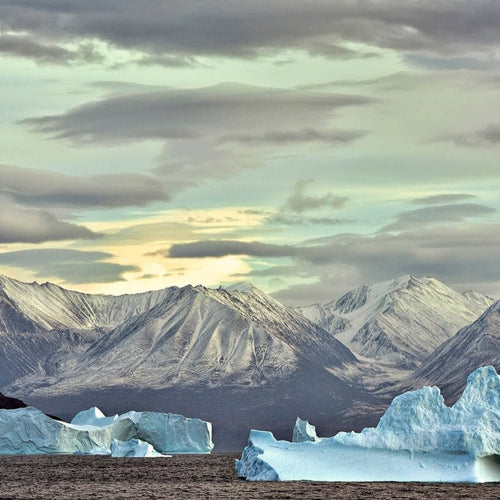 High Arctic Explorer Cruise for Aug 3 - 15, 2024 / Category 1