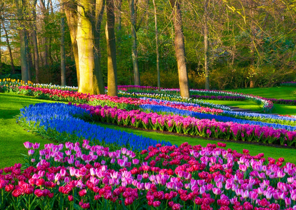 Eagle Eye Tours - The Netherlands