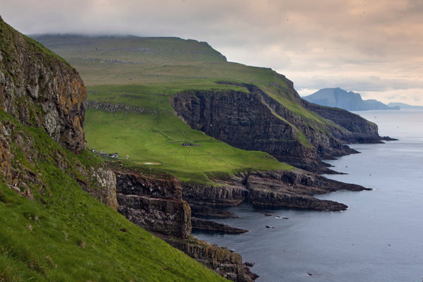 Eagle Eye Tours - North Atlantic Saga Cruise