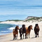 Atlantic Island Odyssey for Jun 27 - Jul 8, 2024