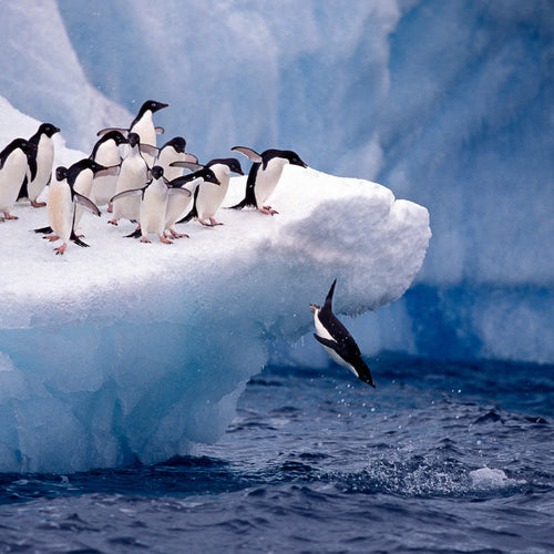 Crossing the Circle Cruise for Feb 19, 2027 to Mar 5, 2027 / Porthole