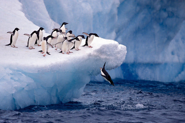 Eagle Eye Tours - Crossing the Circle Cruise