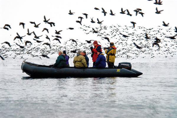 Eagle Eye Tours - Russia Far East: Ring of Fire