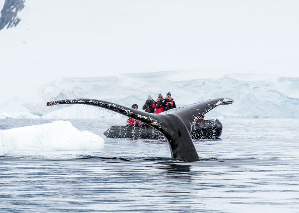 Eagle Eye Tours - Crossing the Circle Cruise