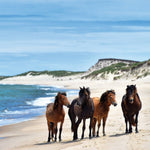 Atlantic Island Odyssey for Jun 27 - Jul 8, 2024